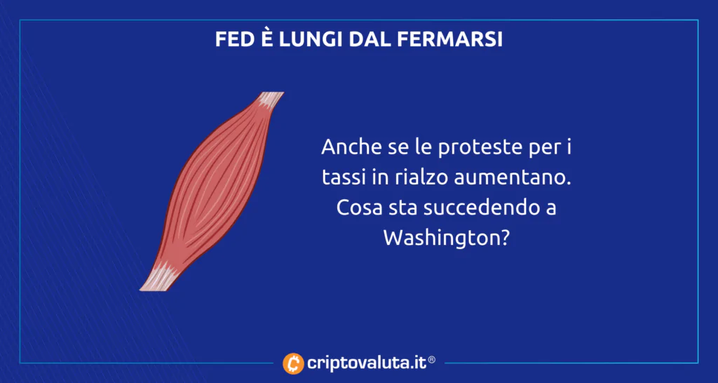 Federal Reserve non si fermerà