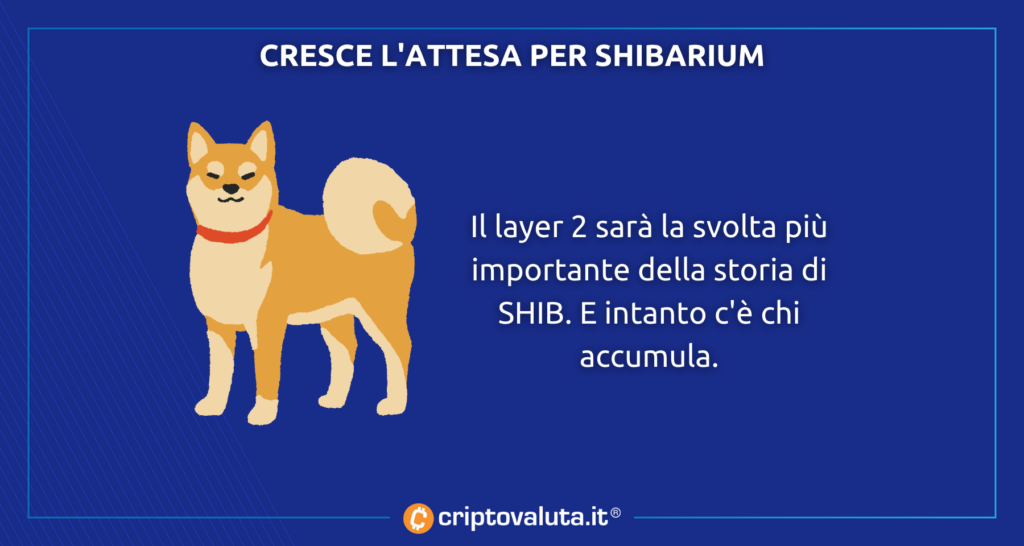 Crece la expectativa por Shibarium y mientras tanto $SHIB de +10% en la noche.  ¿Qué hay que saber?