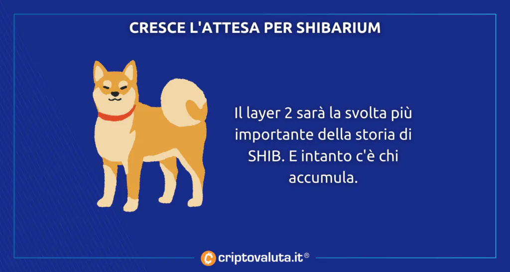 Cresce l'attesa per Shibarium e intanto $SHIB da +10% nella notte. Cosa c'è da sapere?