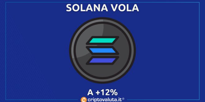 Solana Vola +12