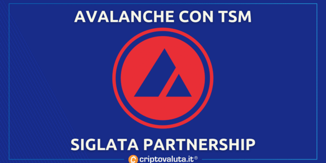 Avalanche TSM