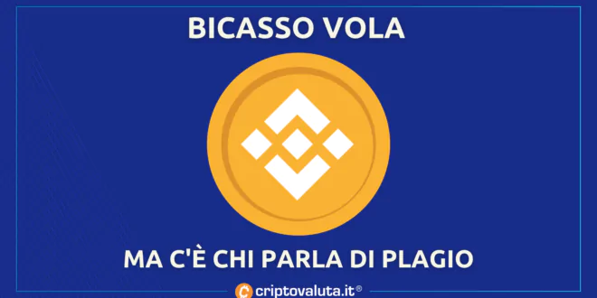 BICASSO VOLA PLAGIO