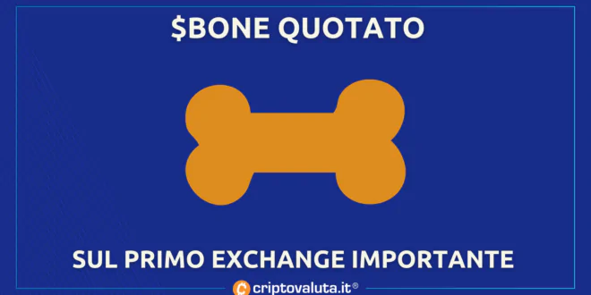 BONE QUOTATO CRYPTOCOM