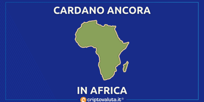 CARDANO INVESTE IN AFRICA