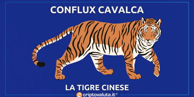 CONFLUX TIGRE