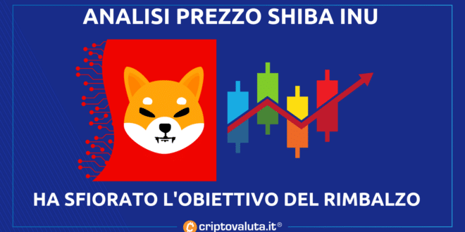 Shiba Inu