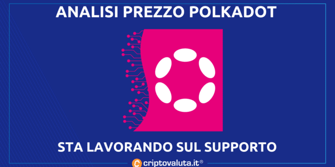 POLKADOT