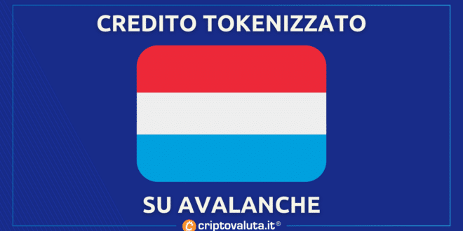 AVAX tokenizzazione credito