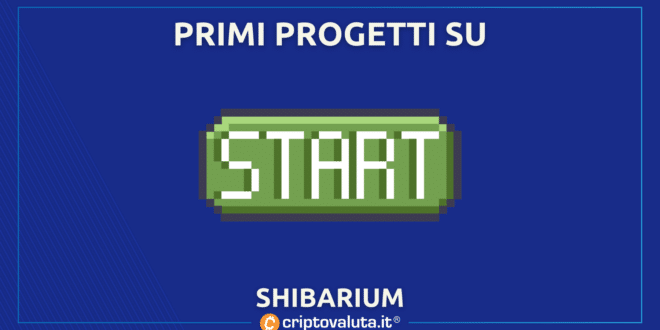 START PROGETTI SHIBA INU
