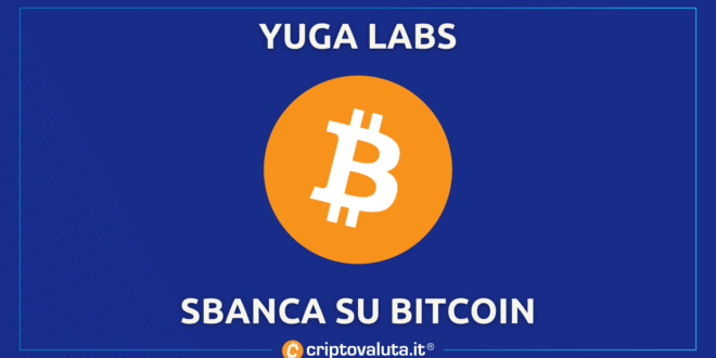 YUGA LABS VINCE