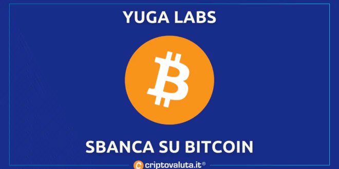 YUGA LABS VINCE