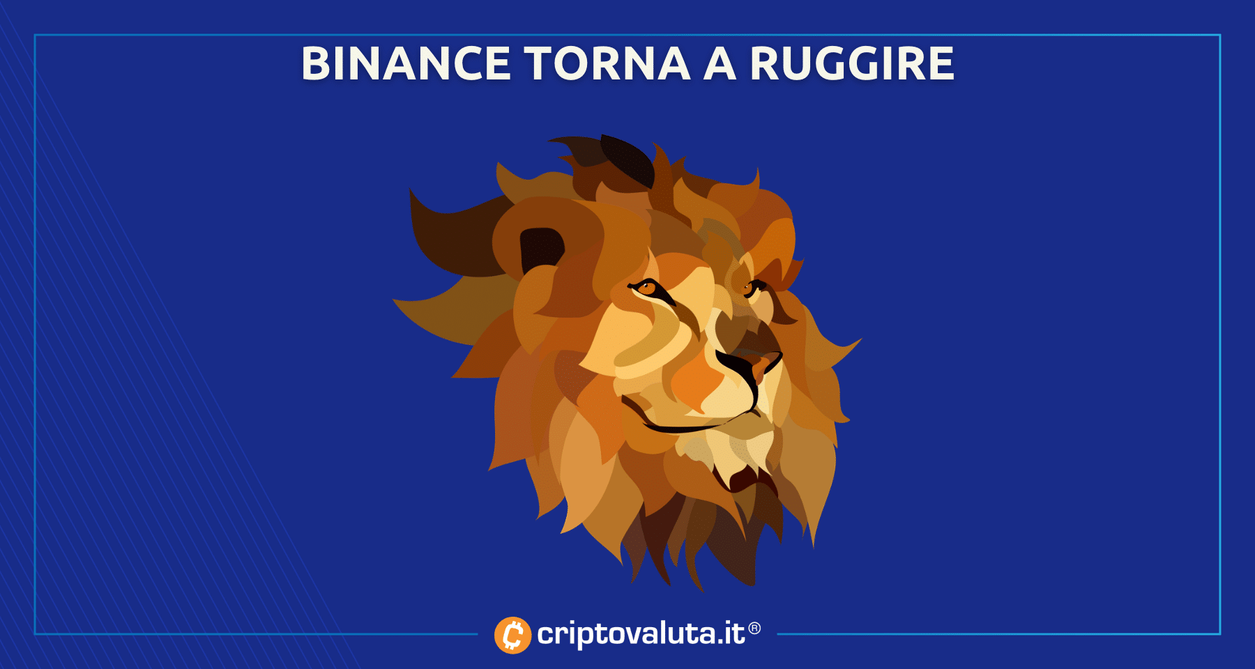 Tutti i Bitcoin volano verso Binance | Rivoluzione tra exchange