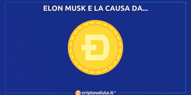 Dogecoin CAUSA