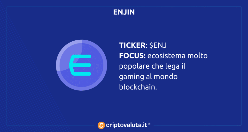 Scheda Enjin Coin