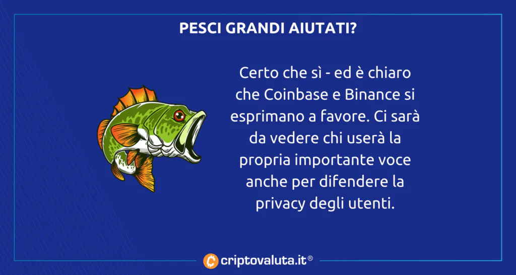 Privacy utenti MiCA