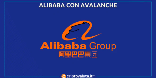Alibaba con Avalanche