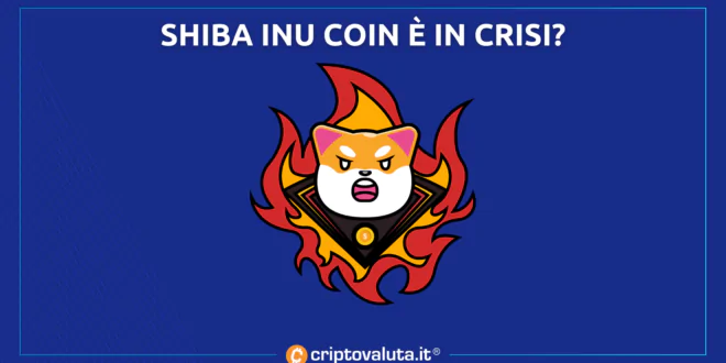 Shiba Inu Coin crisi