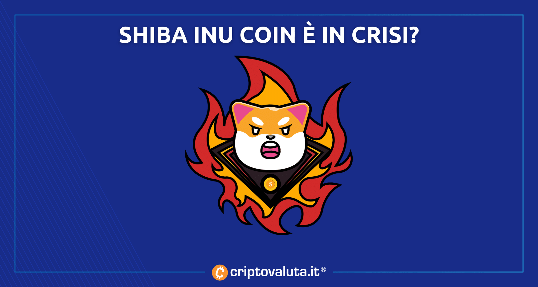Shiba Inu Coin è in crisi? | I nostri dati dicono che...