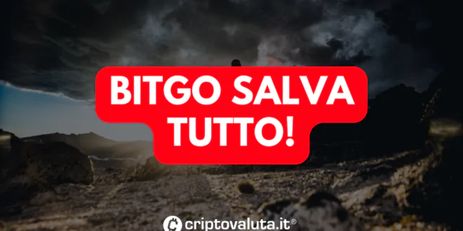 BITGO SALVA