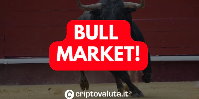 BULL MARKET BITCOIN