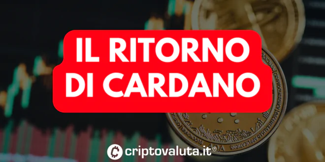 CARDANO RITORNO