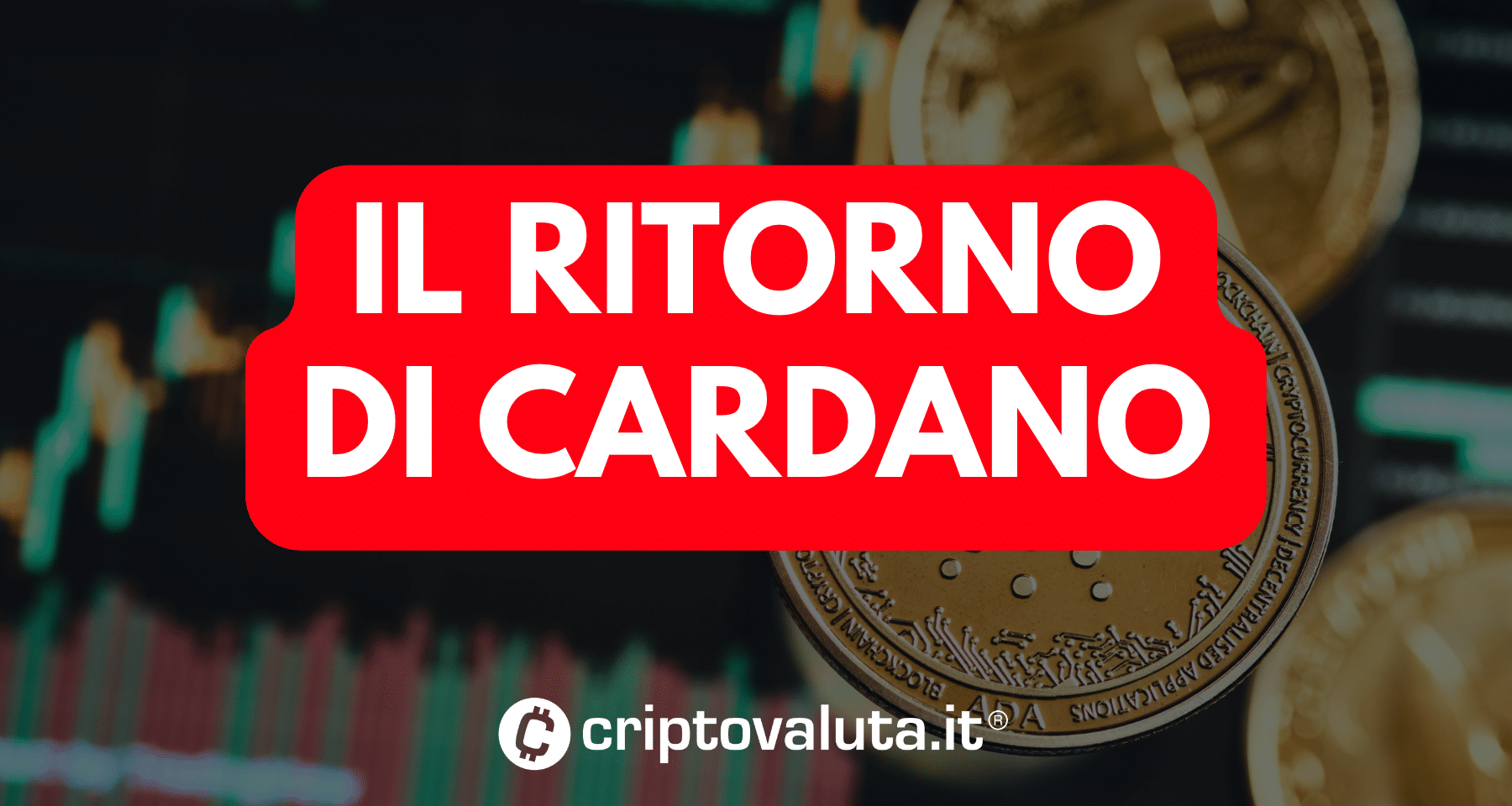 Cardano tra le migliori crypto | Ecco perché torna a volare