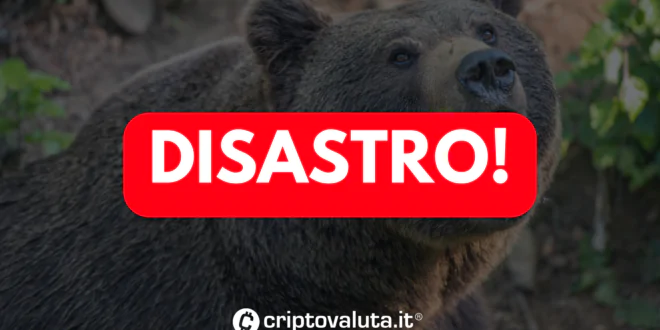 Disastro cripto analisi