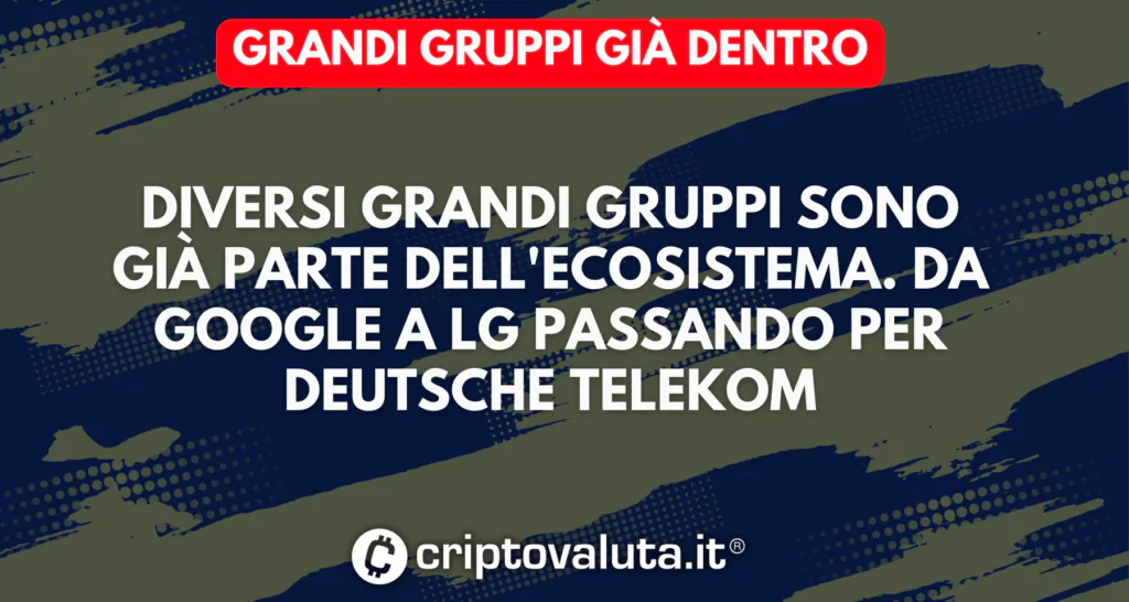 Grandi gruppi Hedera