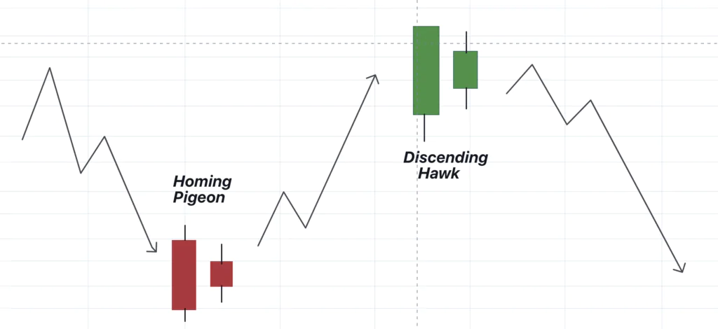 Homing Pigeon - Discending Hawk