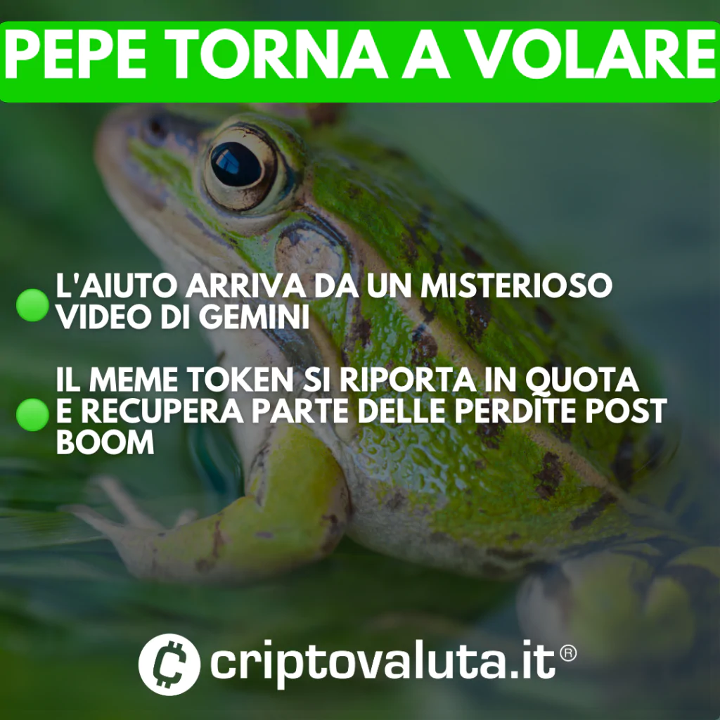 Pepe volo
