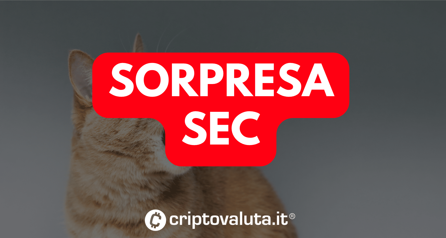 Bitcoin ETF: sorpresa da SEC | Ne approva uno a leva!