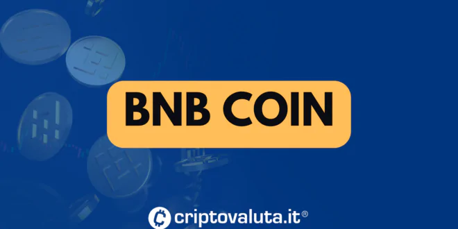 BNB COIN MAIN GUIDA