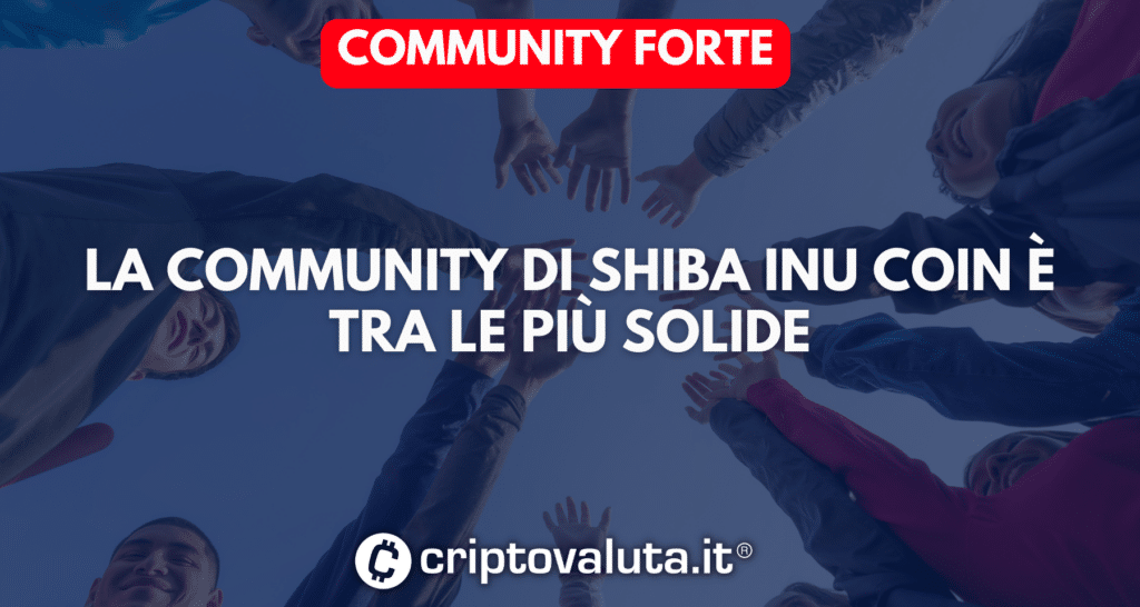 Community Shiba Inu
