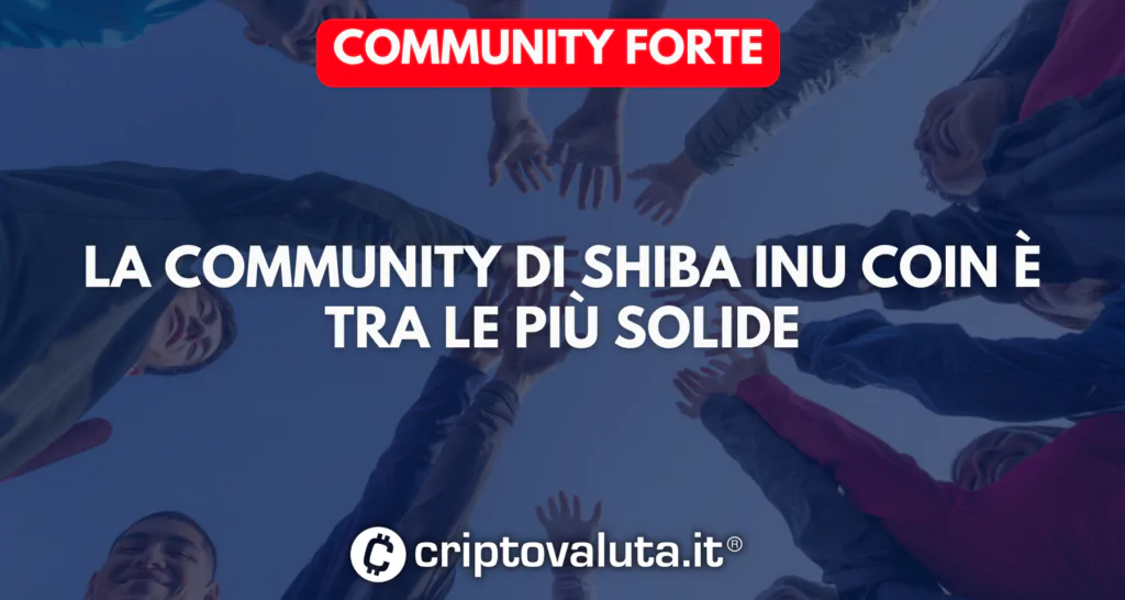 Community Shiba Inu