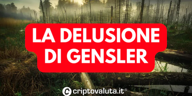 DELUSIONE GENSLER RIPPLE