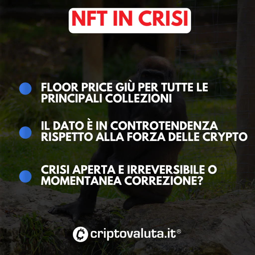 FLOOR PRICE ANALISI