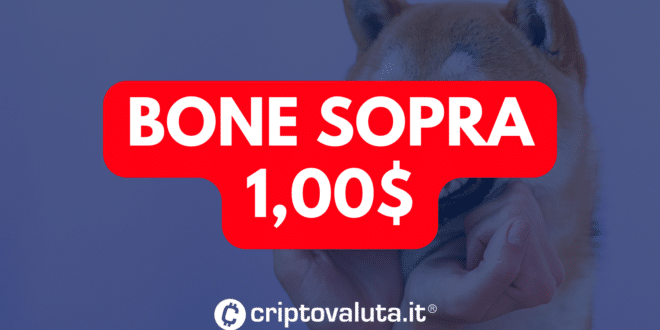 BONE SOPRA 1 DOLLARO