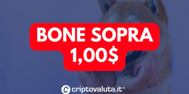 BONE SOPRA 1 DOLLARO