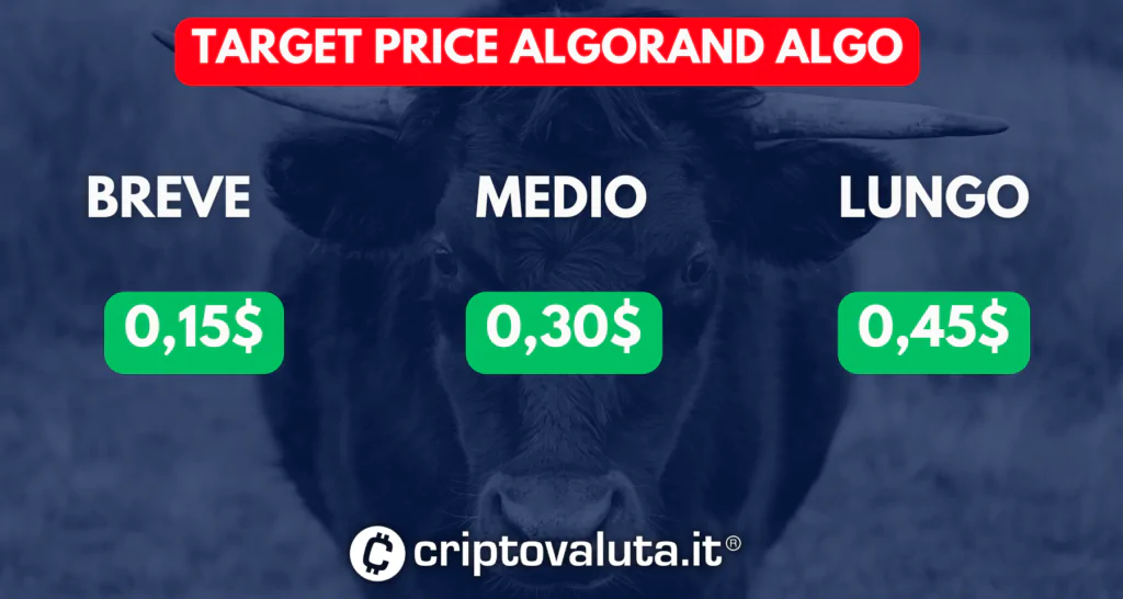 Target price algo medi