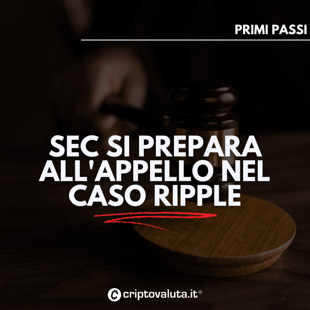 Sec vs ripple - appello