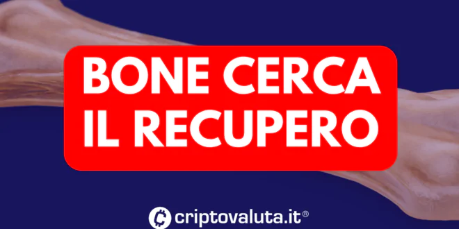 BONE RECUPERO