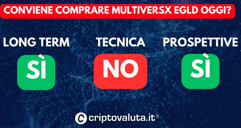 MultiversX sintesi cosa fare