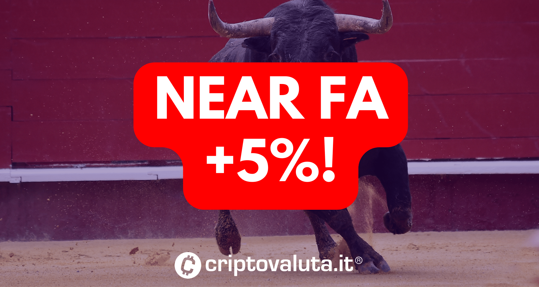 Questa crypto fa +5% in un giorno ROSSO | Ecco perché vola