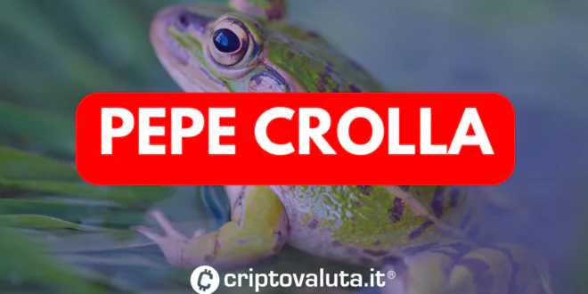 PEPE CROLLo