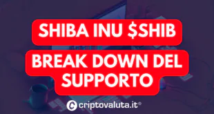 Shiba breakdown supporto