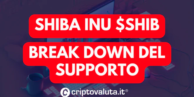 Shiba breakdown supporto