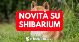 NOVITA SHIB