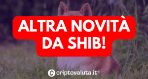 NOVITA SHIB IDENTITA