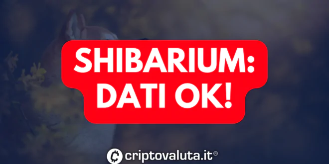 dati shibarium