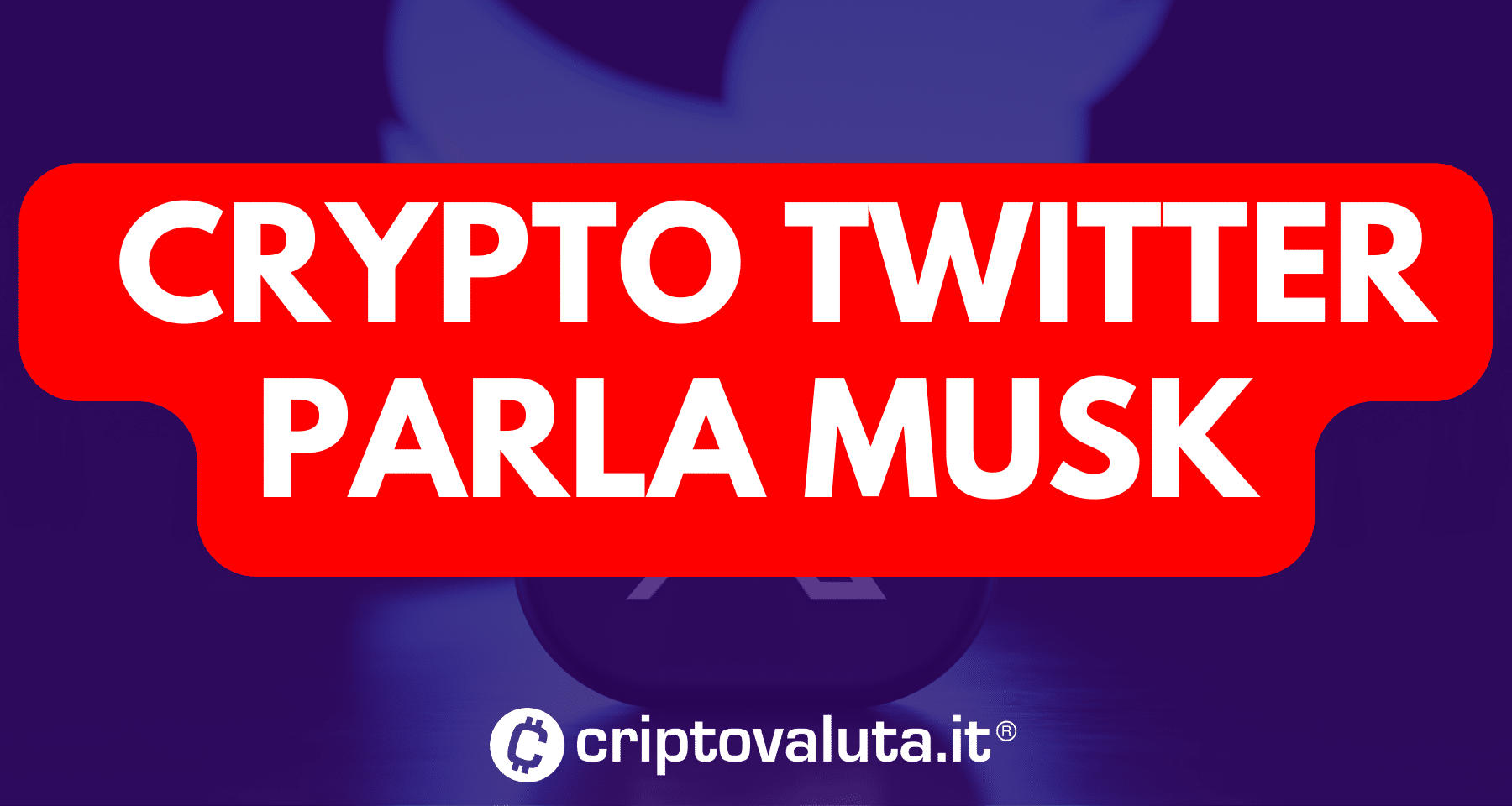 Crypto ufficiale di Twitter X? | Parla Elon Musk